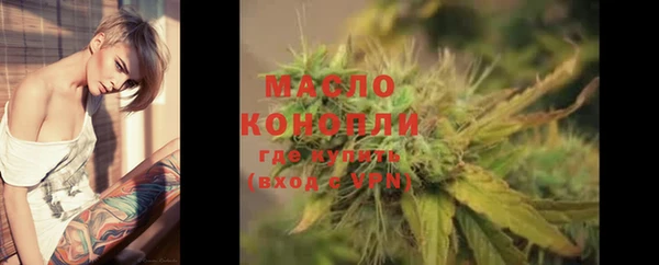 дмт Пересвет