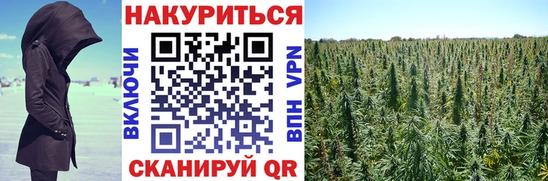 Каннабис OG Kush  МЕГА ONION  Кораблино 